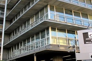 Blatte nelle case popolari. La colpa? Di nessuno – La Stampa