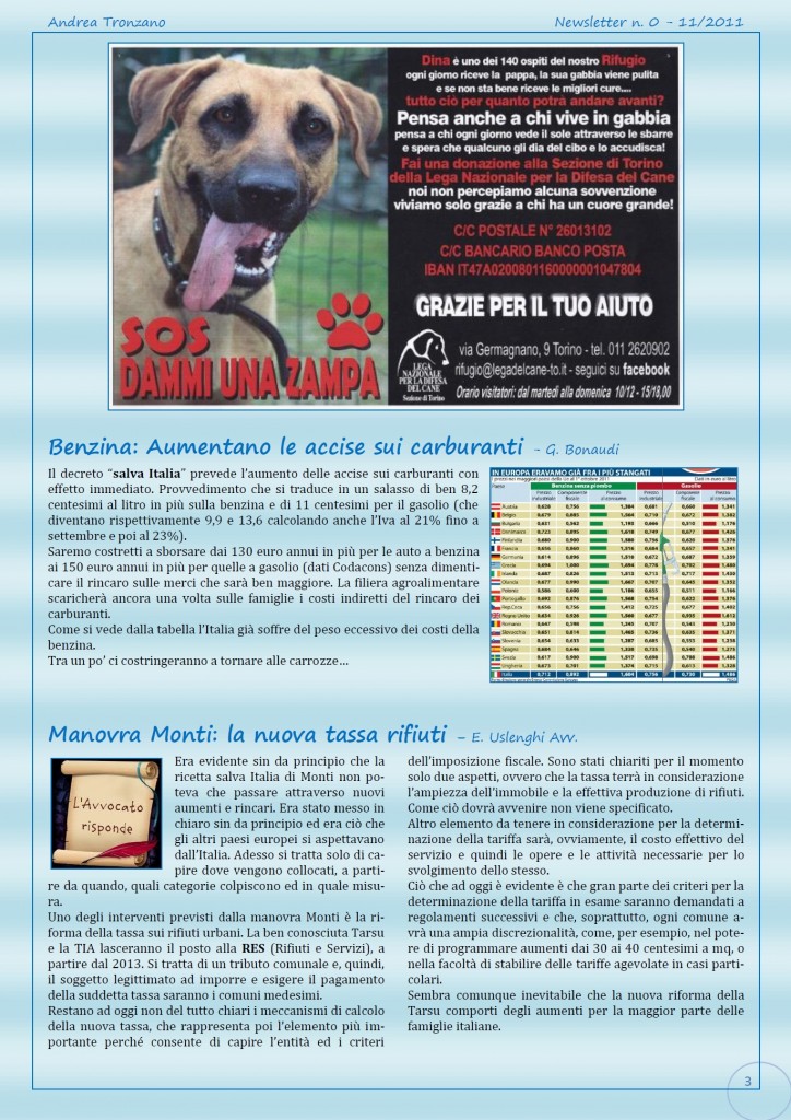 Newsletter n.1-2011-3