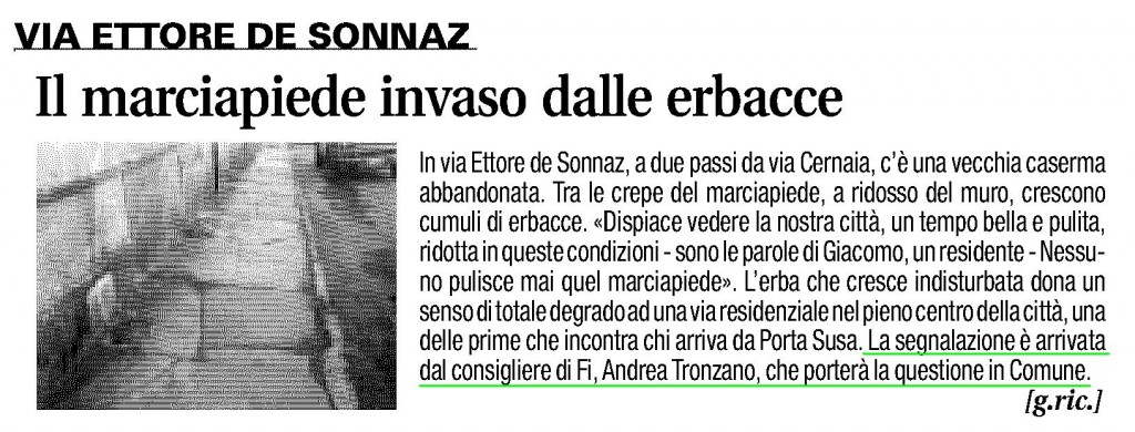 23.09.14_ToCronaca_Erbacce