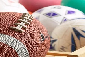 Aumentare gli impianti sportivi per gli atenei torinesi – CittAgorà