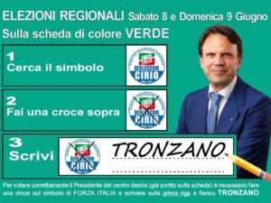 Elezioni Regionali 2024